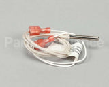 4050228 Antunes Probe, Thermistor 100K