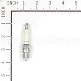 406 Champion Rv12Yc Auto Spark Plug
