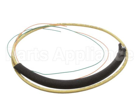 409045 Legion Wire Harness