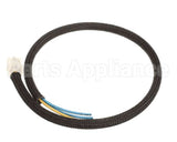 409047 Legion Wire Harness