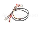 41202.0008 Bunn Wiring Harness, Door-Cbdspct