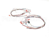 41390.7011 Bunn Wiring Harness,Tgl Dgtl Timer