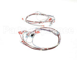 41390.7011 Bunn Wiring Harness,Tgl Dgtl Timer