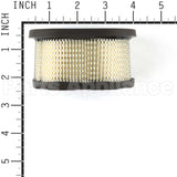 4197 Briggs & Stratton A/C-Filter (4 X 497725S)