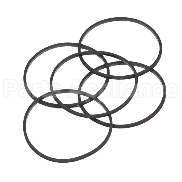 4202 Briggs & Stratton Gasket (5 X 281165S)