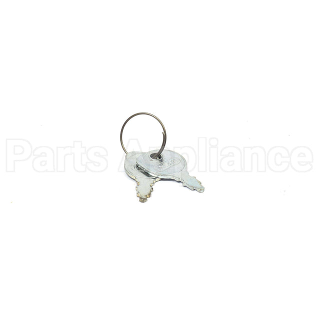 420729MA Briggs & Stratton Keys-2 Ea.