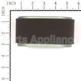 4239 Briggs & Stratton P/C-Filter (5 X 797033)