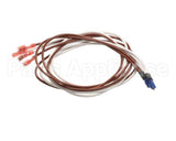 431111 Stoelting Wire Harness F231 Plenum