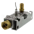 4333718 Safety Valve Compatible