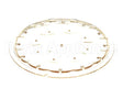 43920.0006 Bunn Sprayhead, 21 Hole Plastic Wav