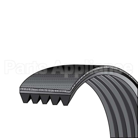 4400EL2001D Dryer Belt Compatible