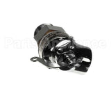 440173 Legion 55# Relief Valve Stchr
