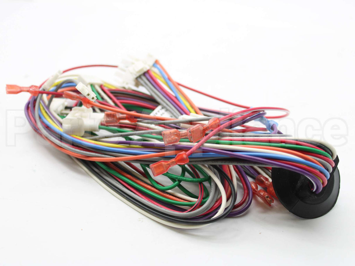45-104202-01 Rheem-Ruud Wiring Harness Assembly