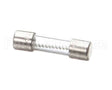 4522739 Garland Fuse, 5 Amp 125 Vac 5Mm X 20Mm