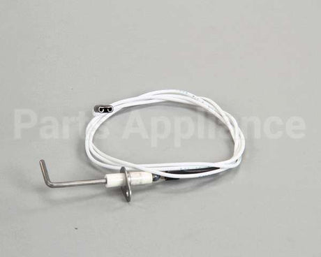 4523415 Garland Sensor, Dsi Burner Pack