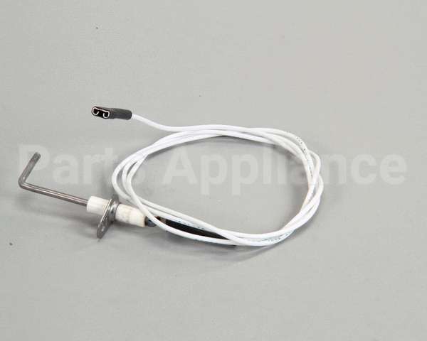 4523415 Garland Sensor, Dsi Burner Pack