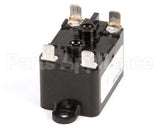 4527431 Garland Relay - 24Vac/50-60 (Standard)