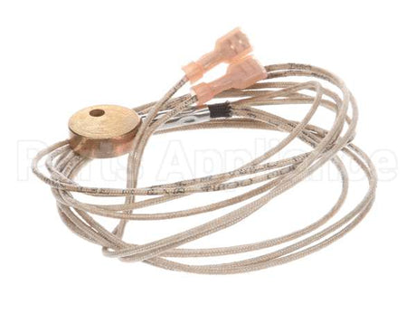 455604 Legion Probe