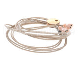 455604 Legion Probe