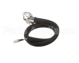 455946 Legion Pilot Burner Ignitor Sensor
