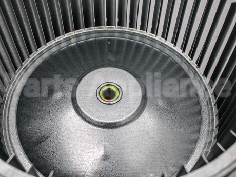45M36 Lennox 11 1/2"X10"Blowerwheel1/2"Bore