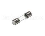 4600129 Garland Fuse - 250V Iec Slo-Blo 5X20Mm