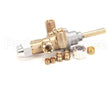 4601578 Garland Flame Failure Valve Assembly