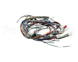 4602143 Garland Harness Main