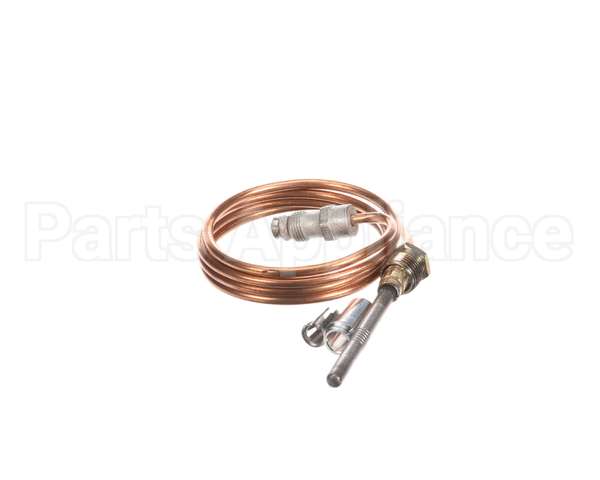 460274 Legion Thermocouple
