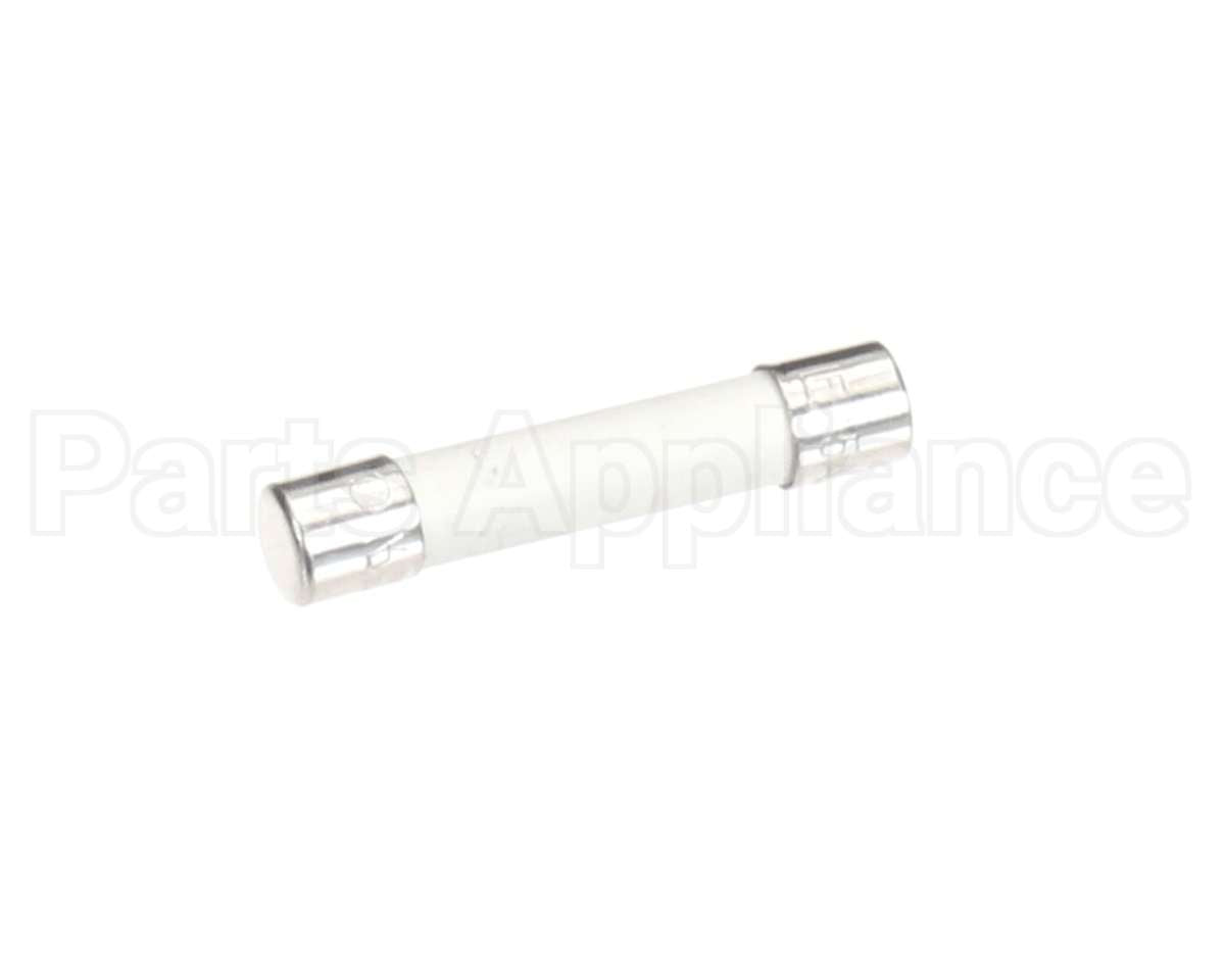 4605328 Garland Fuse Time Delay 15A