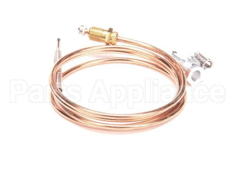 4619800100 Jade Thermocouple, 36 T 46 (Baso)