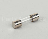 4621-0025 Nieco Fuse, 0.25 Amp, 250V