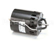 47356 Gold Medal Products Motor, Warmer-115V