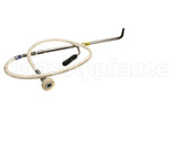 48-0022 Autofry Wand Assembly