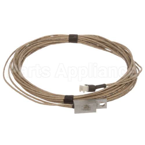 4877223 Apw Rtd Temp Probe