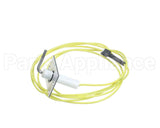 48DP500613 Carrier Flame Sensor With Wire