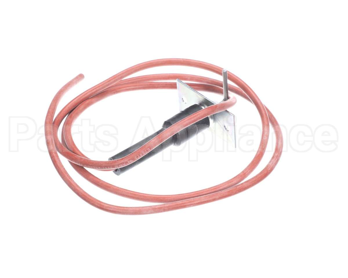 48DP500623 Carrier Electrode Ignitor With Wire