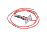 48DP500623 Carrier Electrode Ignitor With Wire