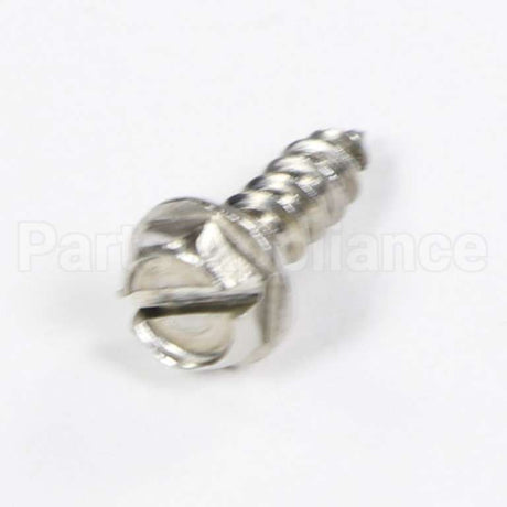 WP489069 Whirlpool Screw