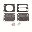 49-224 Oregon Kit Fuel Pump Briggs 693502