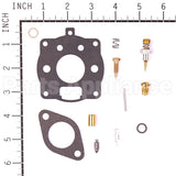 492024 Briggs & Stratton Kit-Carb Overhaul