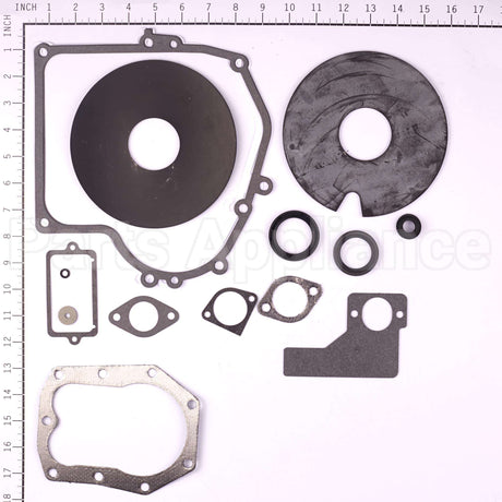 492653 Briggs & Stratton Gasket Set-Engine