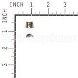 494553 Briggs & Stratton Keeper-Valve