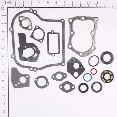 495603 Briggs & Stratton Gasket Set-Engine