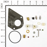 497535 Briggs & Stratton Kit-Carb Overhaul