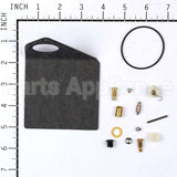 497578 Briggs & Stratton Kit-Carb Overhaul