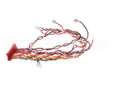 49775 Henny Penny Wire Assembly-Control To Relay