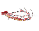 49775 Henny Penny Wire Assembly-Control To Relay