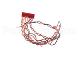 49775 Henny Penny Wire Assembly-Control To Relay