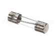 4A0893-05 Hoshizaki Fuse F-1000 M 50H
